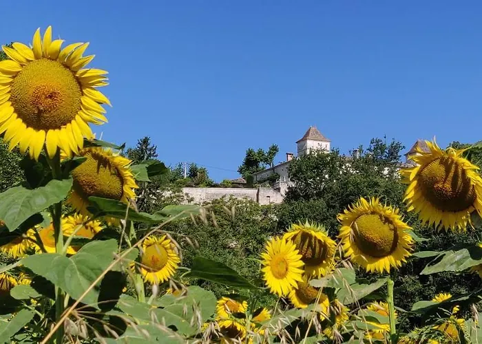 Willa Manoir Le Bourg,