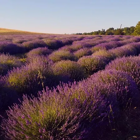 Manoir Le Bourg, * Touffailles