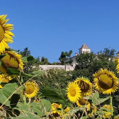 Villa Manoir Le Bourg,